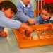 ...sono alle prese con giochi educativi 